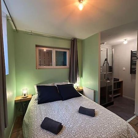 Le Cosy Balat Biel Rdc Jardin Spacieux Grisolles  Extérieur photo